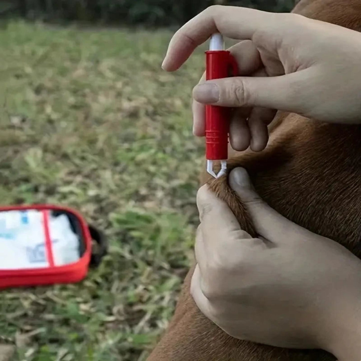 Kit de Primeros Auxilios para Mascotas