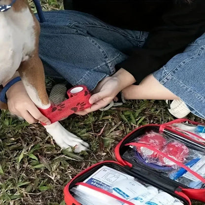 Kit de Primeros Auxilios para Mascotas